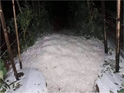 Granizada causa destrozos en viviendas y cultivos en Itapúa