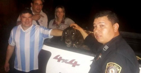 La salvaron a “Milagros” de una muerte horrible