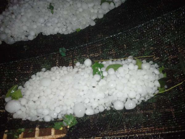 Granizos causaron estragos en Itapúa
