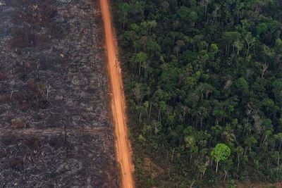 Incendios en Brasil continúan en aumento a pesar de prohibición