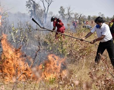 Usan incendios como excusa contra acuerdo UE-Mercosur - Internacionales - ABC Color