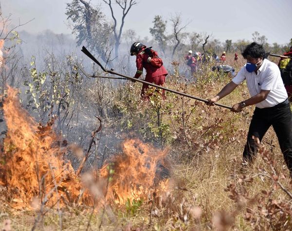 Usan incendios como excusa contra acuerdo UE-Mercosur - Internacionales - ABC Color