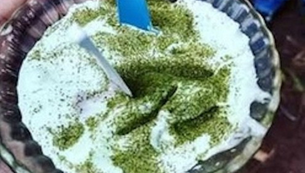 Comidas con polvo de la yerba se harán en Tavapy