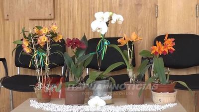 NVA. ALBORADA: SE VIENE LA 3º EDICIÓN DE LA EXPO ORQUIDEAS Y FLORES