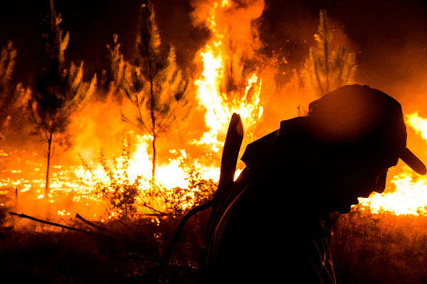 Incendios en Amazonía brasileña amenazan a pueblos indígenas no contactados » Ñanduti