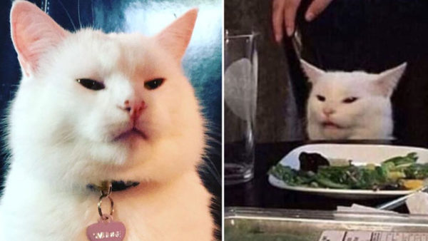 Conoce el origen del gato en la mesa y la mujer gritando