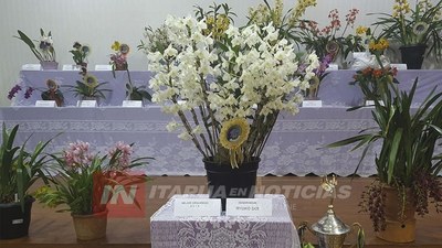 “YUKI” EL TESORO DE PIRAPÓ, GANADORA DE LA EXPO ORQUÍDEAS 2019.