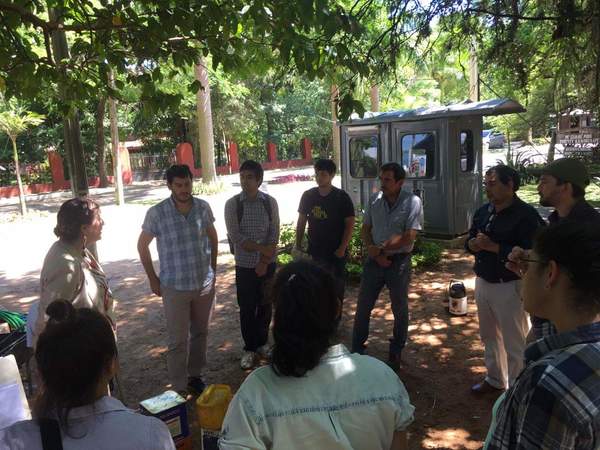 Plantarán 1.200 árboles en zona del Corredor Vial Botánico | .::Agencia IP::.