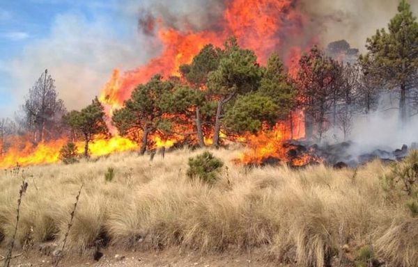 Persisten en Bolivia cinco incendios sin controlar
