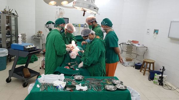 Trasplante renal simultáneo en el Hospital de Clínicas - Nacionales - ABC Color