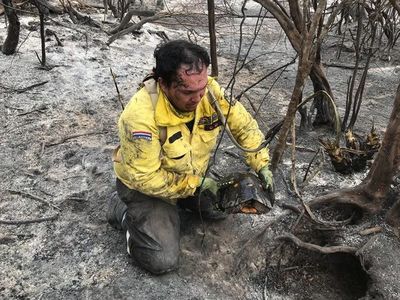 Destaca acción de varios héroes anónimos en los incendios forestales - Nacionales - ABC Color