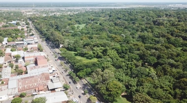 HOY / Dan "luz verde" al Corredor Vial Botánico: plan contempla plantar 1.200 árboles y trasladar 157 ejemplares
