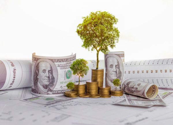 5 pasos para vincular las compensaciones ejecutivas con la sustentabilidad