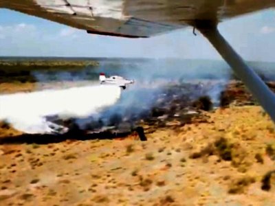 SEN asegura que   lograron extinguir los incendios forestales      en el   Chaco