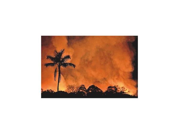 Control paulatino de los incendios da un respiro a Bolsonaro