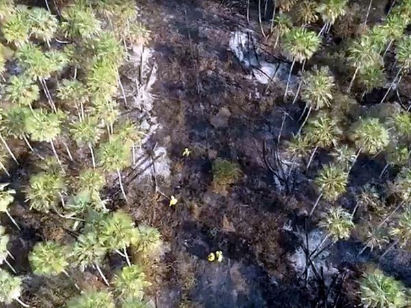 Eliminan los focos de fuego en Bahía Negra - Interior - ABC Color
