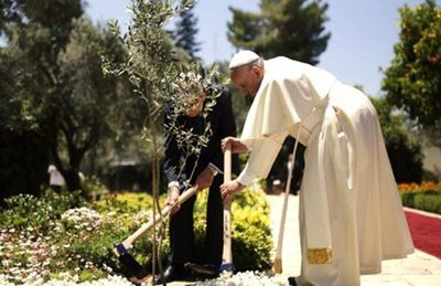 Papa Francisco: Hay una emergencia climática que amenaza seriamente la vida - Digital Misiones