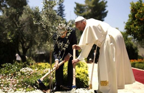 Papa Francisco: Hay una emergencia climática que amenaza seriamente la vida - Digital Misiones