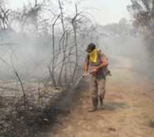 El incendio en el Chaco causó estos daños - Paraguay.com