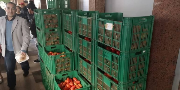 HOY / Feria del tomate y varios productos en el microcentro