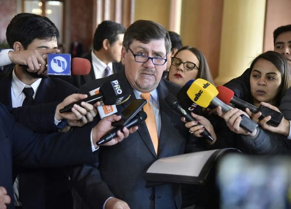 Blas Llano: Mario Abdo acepta cumbre de poderes contra retracción económica - Nacionales - ABC Color