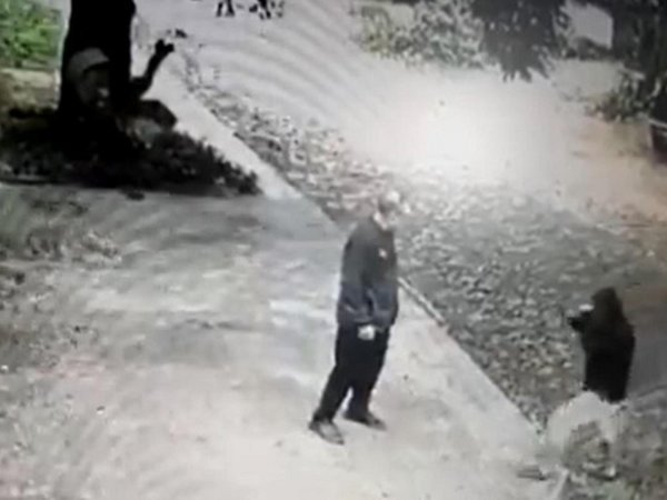 Para asustar a ladrón, abogado le gritó: ¡Soy policía!