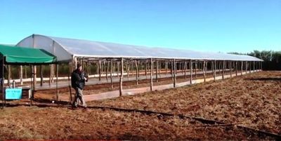 Programa ABC Rural Tv 880 - ABC Rural - ABC Color