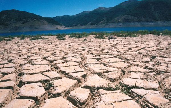 Los humanos causaron un cambio ambiental significativo hace unos 3000 años - Ciencia - ABC Color