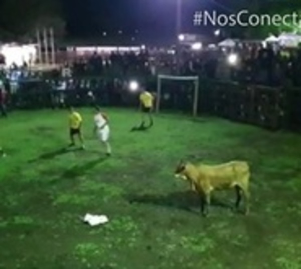 Fútboi: El deporte furor que se juega con una vaca - Paraguay.com
