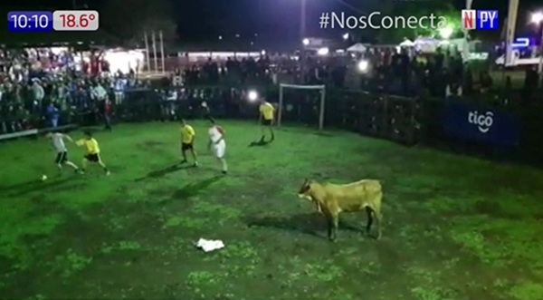 Fútboi: Deporte furor que se juega con una vaca | Noticias Paraguay