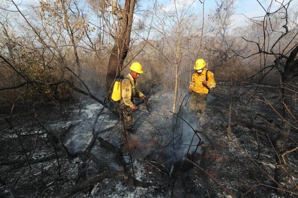 Bolivia registra dos fallecidos que intentaban sofocar incendios