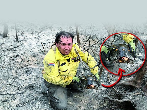 Rescatan animales expuestos al fuego en zona de Pantanal