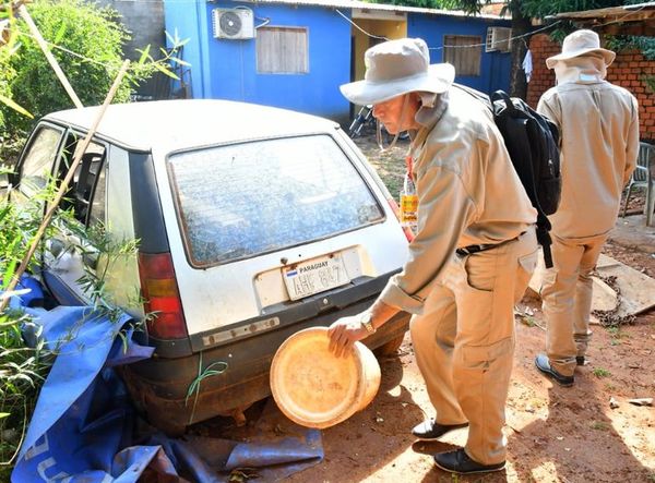 Dengue: 278 casos sospechosos - Locales - ABC Color