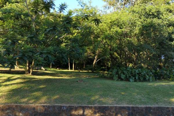Ambiente fresco a cálido, con vientos del sur