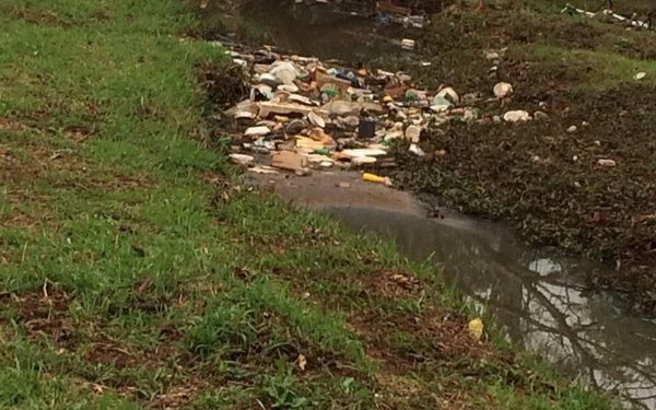 Lago de la República nuevamente repleto de basura