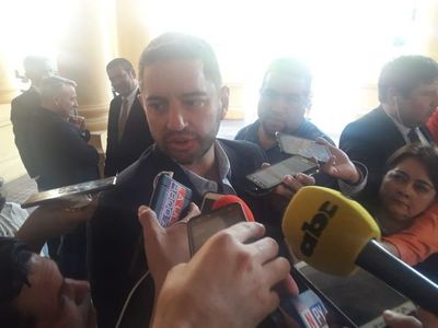 Alliana: “Quiero que Horacio Cartes sea candidato de consenso” - Nacionales - ABC Color