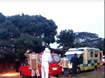 Murió tras ser atacado por enjambre de avispas