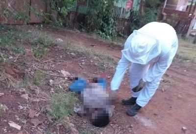 Murió tras ser atacado por un enjambre de avispas - Nacionales - ABC Color