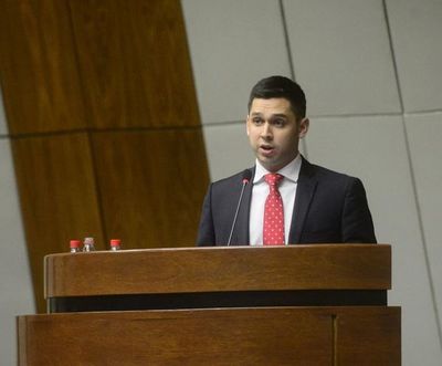 “Joselo” Rodríguez da más disculpas que claridad ante comisión bicameral - Nacionales - ABC Color