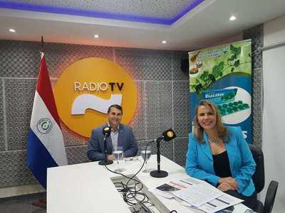 “Hay sectores vulnerables, debemos desarrollar otros motores de la economía” » Ñanduti