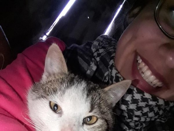 Kiko, el gato que luchó contra un yarará, finalmente murió