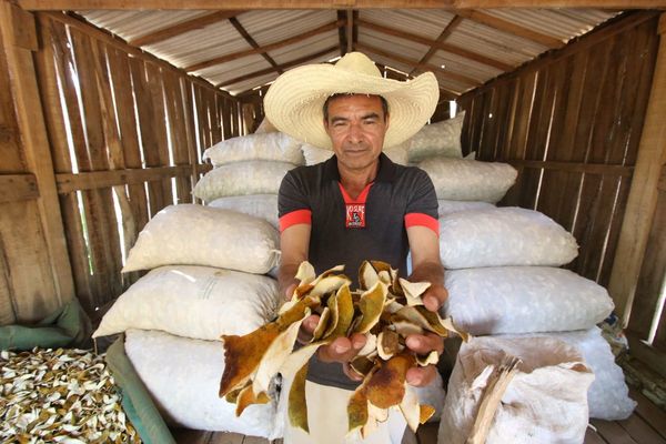 A Europa con el sello “made in San Pedro”