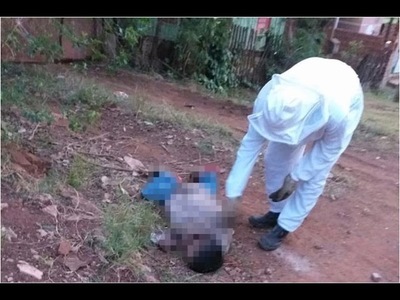 MURIÓ TRAS SER ATACADO POR UN ENJAMBRE DE AVISPAS