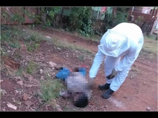 MURIÓ TRAS SER ATACADO POR UN ENJAMBRE DE AVISPAS