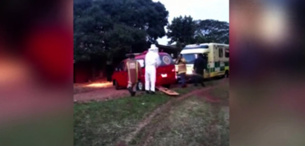 Muerto por avispas | Noticias Paraguay