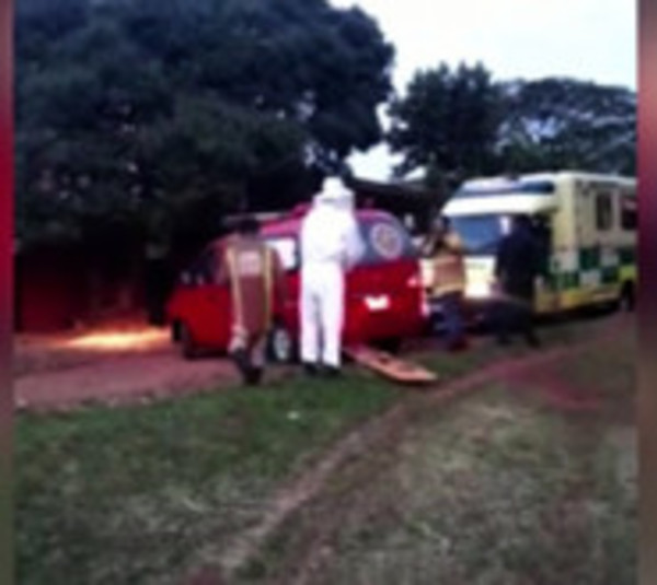 Hombre muere tras ataque de avispas - Paraguay.com