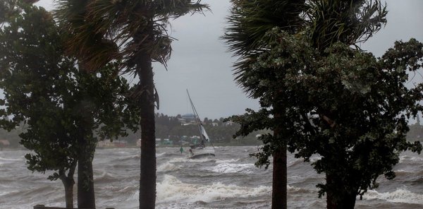 Dorian descarga viento y lluvia sobre el litoral de Florida | .::Agencia IP::.