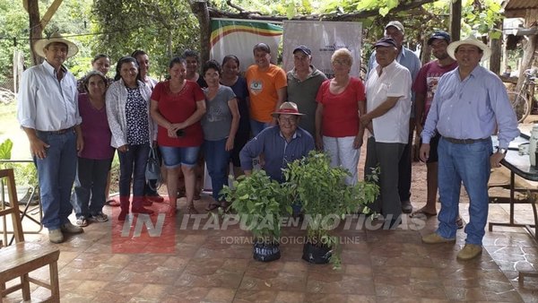 CNEL. BOGADO: INICIAN SEGUNDA ETAPA DEL PLAN FORESTAL EN EL DISTRITO