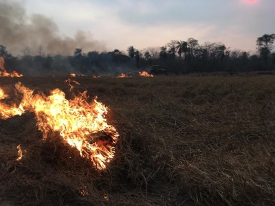 Alto Paraguay y Boquerón fueron declarados en emergencia ambiental