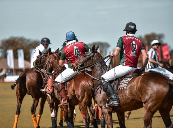 El polo llega para reunir a la familia